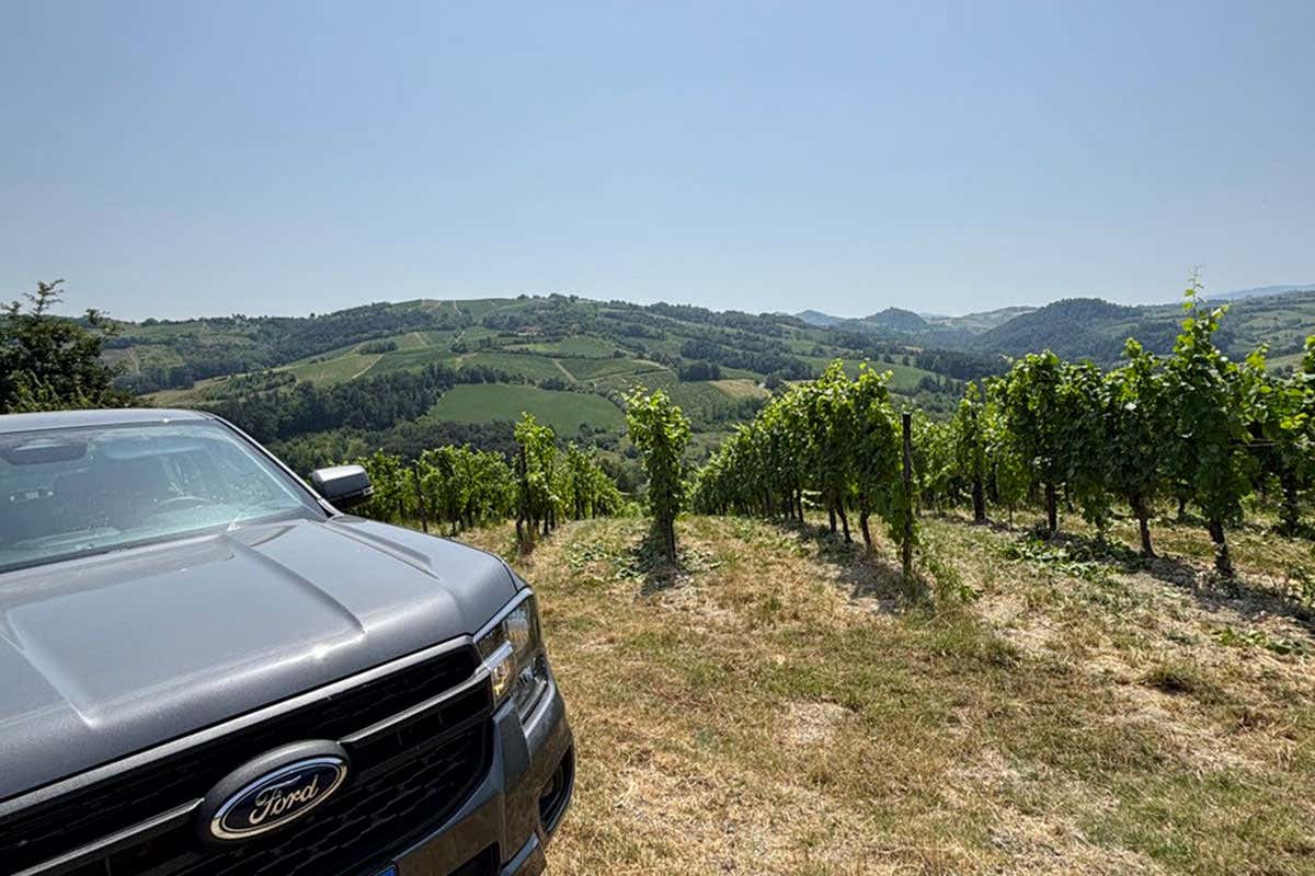 Conte Vistarino, in 160 anni di Pinot Nero la storia delle bollicine dell’Oltrepò Pavese Conte Vistarino, in 160 anni di Pinot Nero la storia delle bollicine dell’Oltrepò Pavese