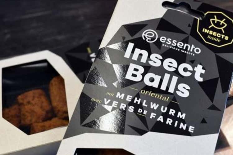 Nella Coop svizzera arrivano gli insetti da servire in tavola Nella Coop svizzera arrivano gli insetti da servire in tavola