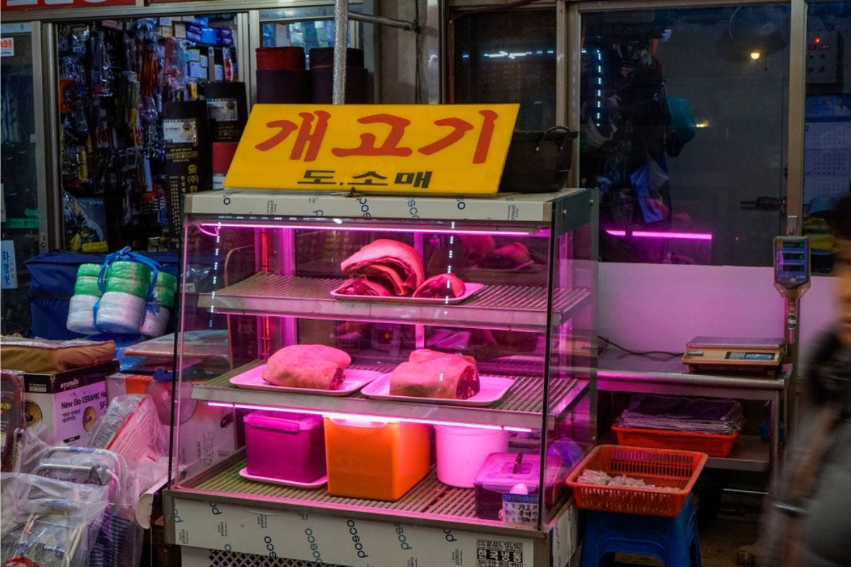 Svolta in Corea del Sud: bandito ufficialmente il consumo di carne di cane