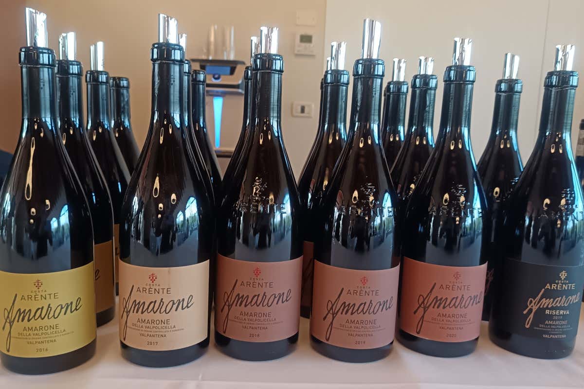 Valpantèna protagonista: storia, vini e ambizioni della cantina Costa Arènte