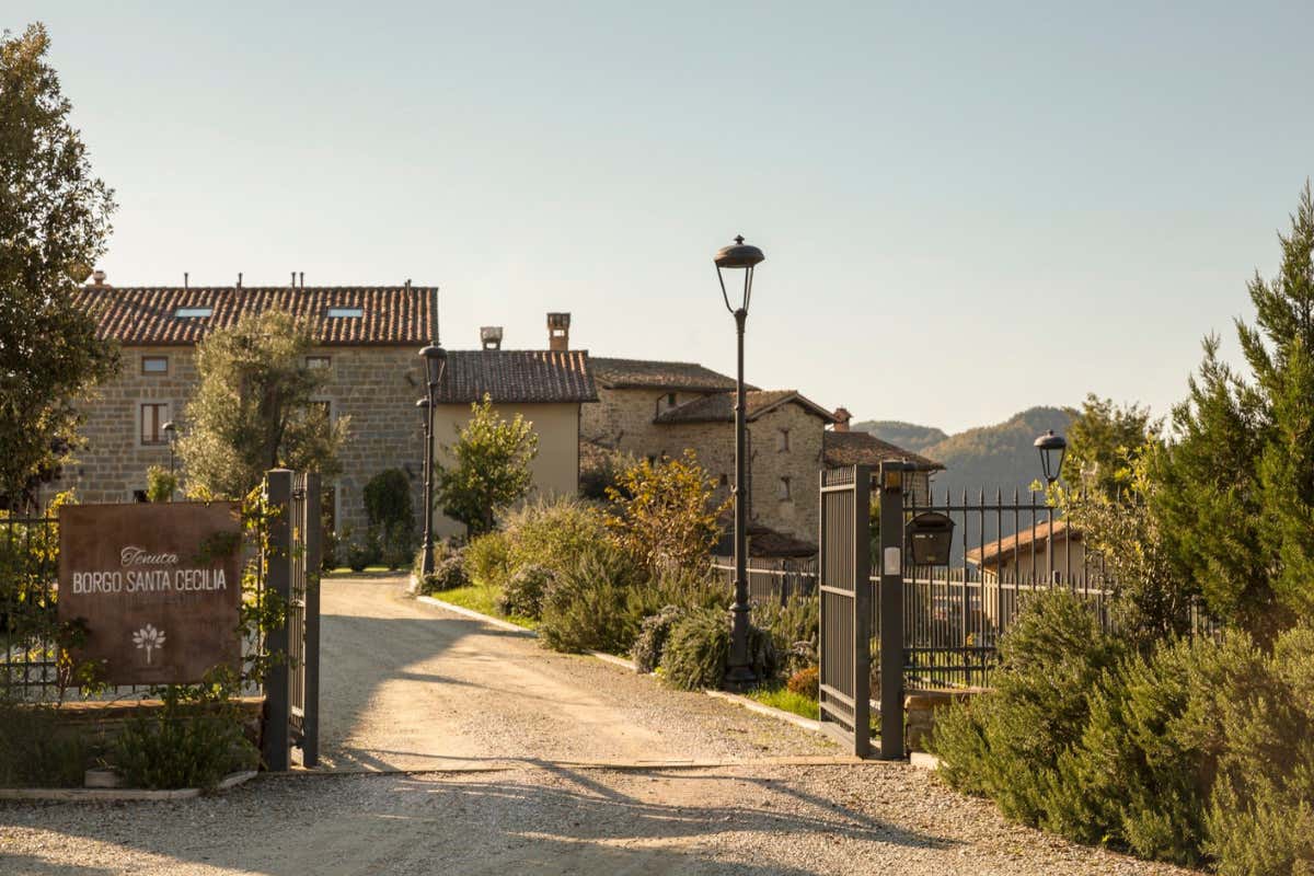 Safari e sapori umbri: un’avventura tra boschi e tavole gourmet Safari e sapori umbri: un’avventura tra boschi e tavole gourmet