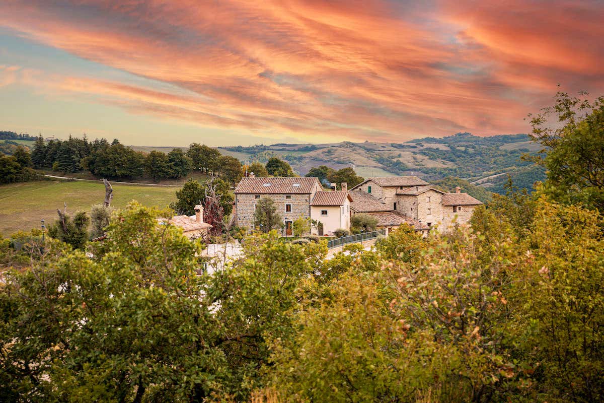 Safari e sapori umbri: un’avventura tra boschi e tavole gourmet Safari e sapori umbri: un’avventura tra boschi e tavole gourmet