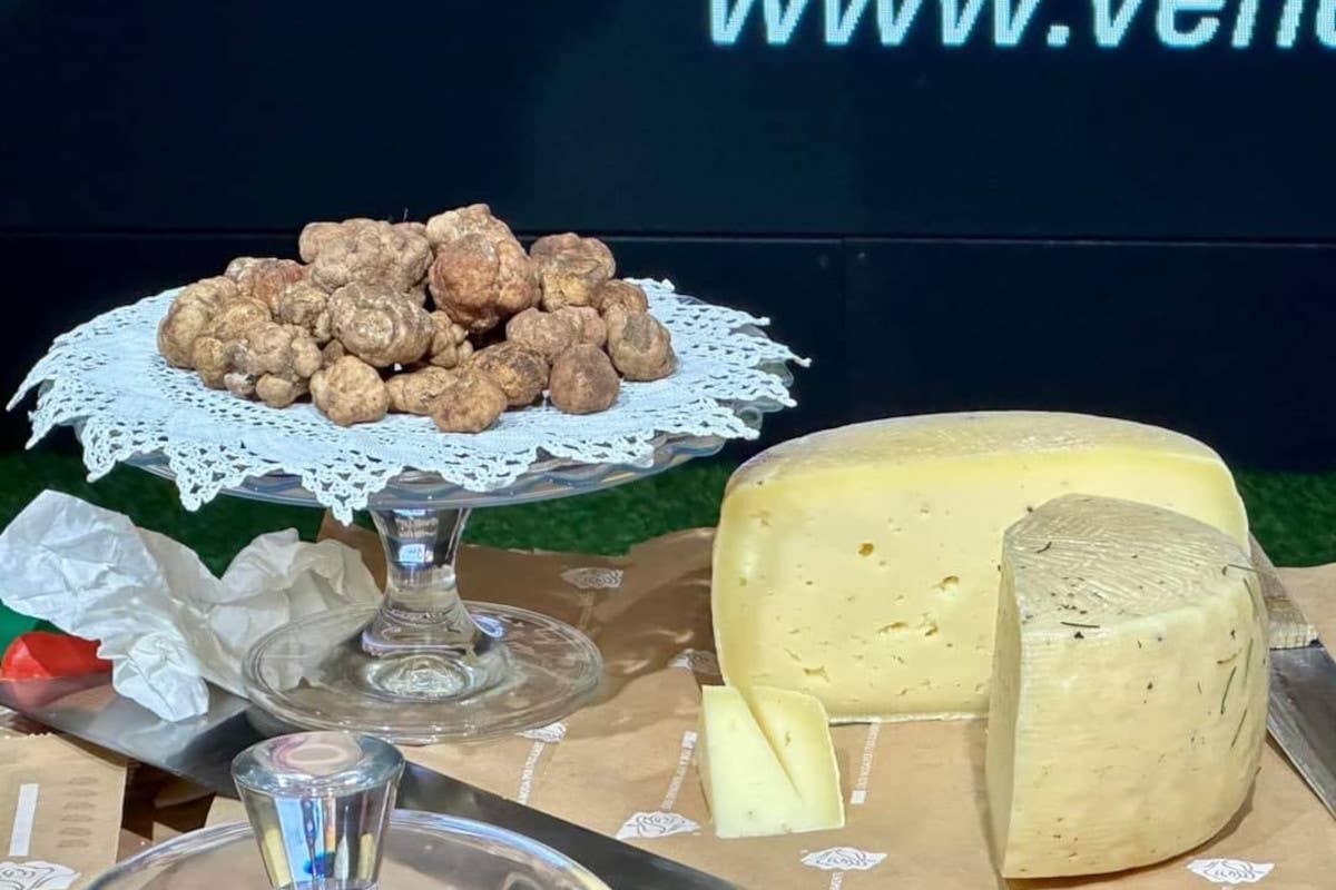 Giuseppe Cristini: viaggio tra luci e ombre nei territori del tartufo