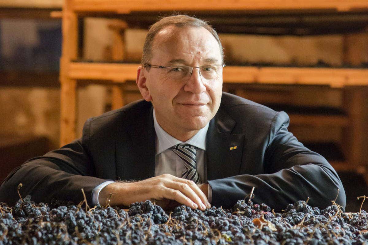 Daniele Accordini Millesimo 2021, annata perfetta per l'Amarone della Valpolicella