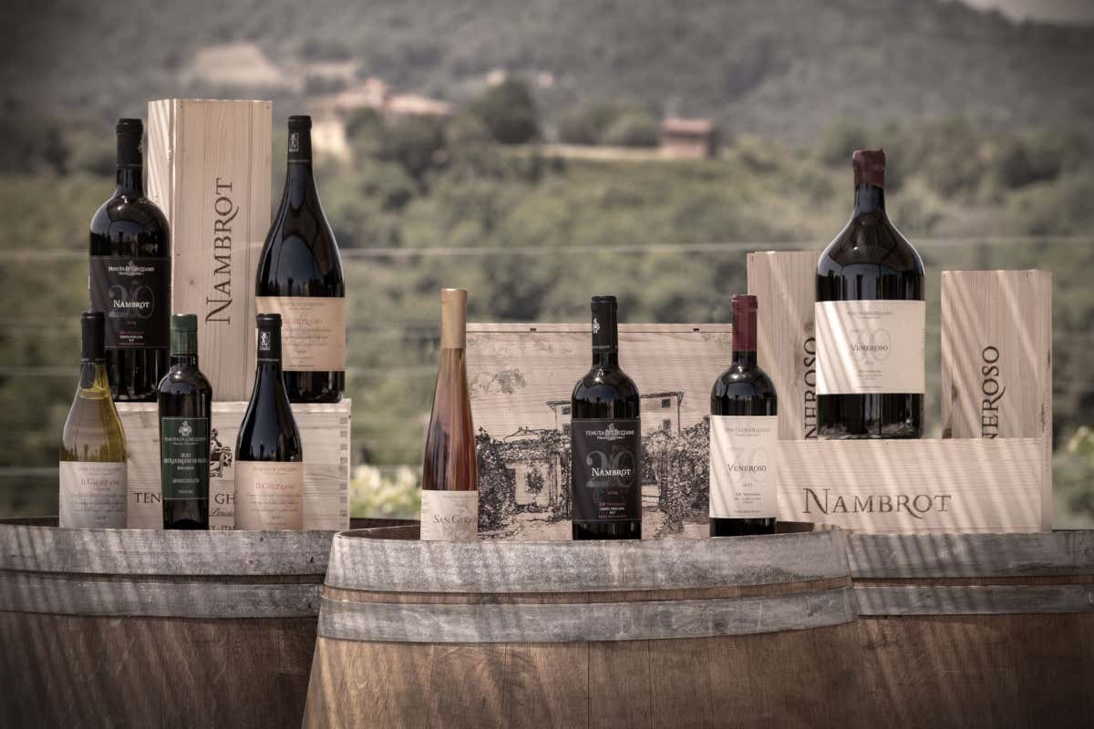 Tenuta di Ghizzano, eleganza e identità nei vini delle Terre di Pisa