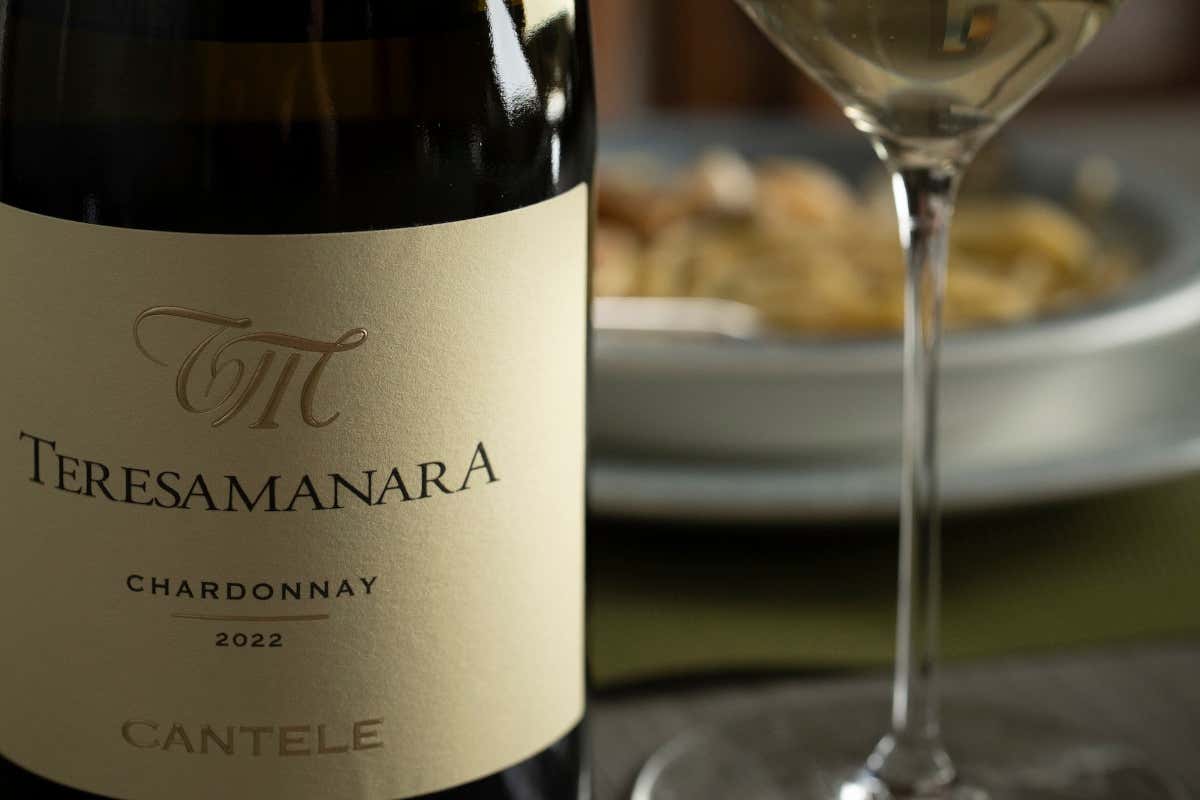 Dal vino sfuso al successo internazionale: il viaggio della famiglia Cantele