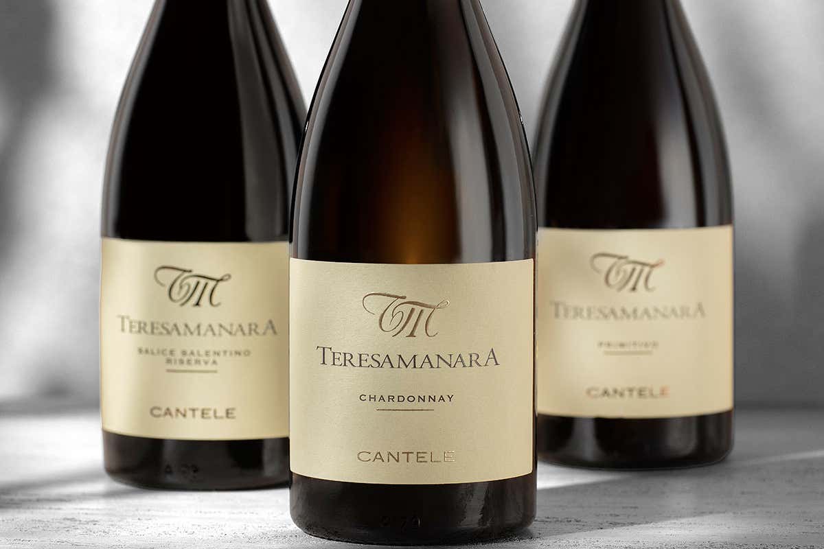 Dal vino sfuso al successo internazionale: il viaggio della famiglia Cantele