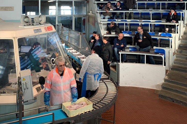 L'asta al mercato del pesce (Di porto in porto, a Cesenatico forum sul pesce dell’Alto Adriatico)