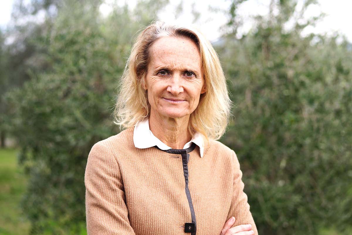 Perché il Laudemio è tra gli extravergini più ricercati del mondo Perché il Laudemio è tra gli extravergini più ricercati del mondo