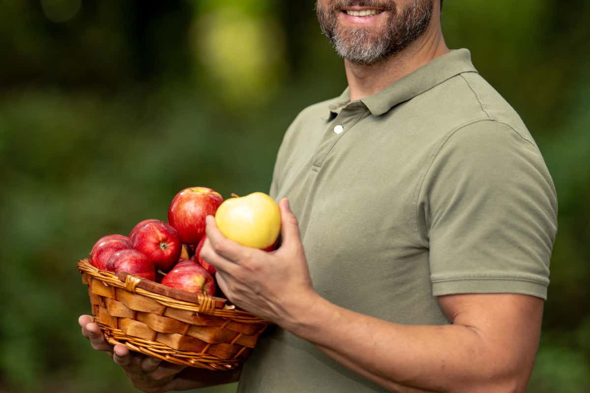Ecco quanti anni di vita si guadagnano seguendo la Dieta mediterranea