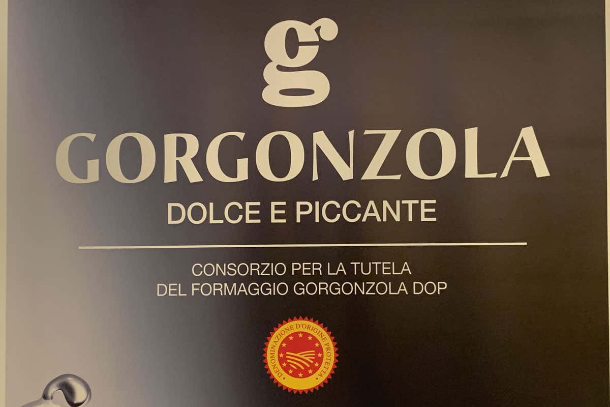 Gorgonzola Dop, record storico nel 2025: mai prodotte così tante forme