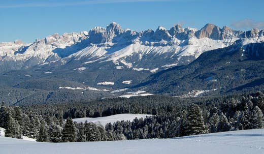 Fate della Notte- Del Bosco -Les Alpes