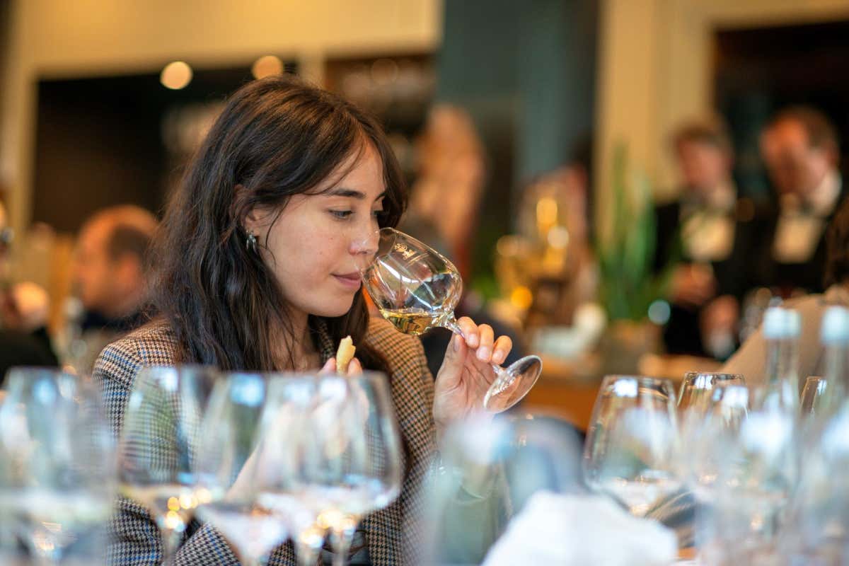 DoloViniMiti e la verticalità del vino: paesaggi, tradizioni e terroir alpini DoloViniMiti e la verticalità del vino: paesaggi, tradizioni e terroir alpini