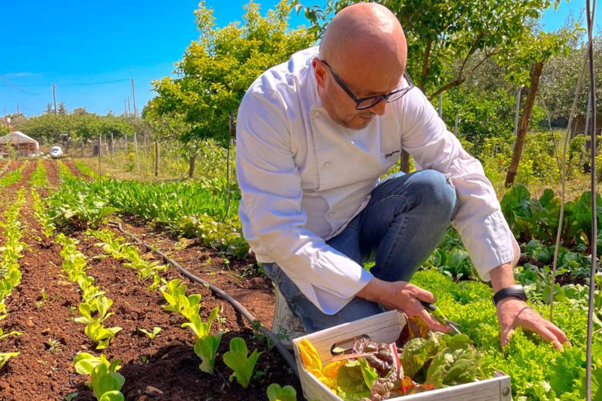 Stefano D'Onghia, lo chef che lascia il gourmet per la trattoria: «Scelgo la libertà» Stefano D'Onghia, lo chef che lascia il gourmet per la trattoria: «Scelgo la libertà»