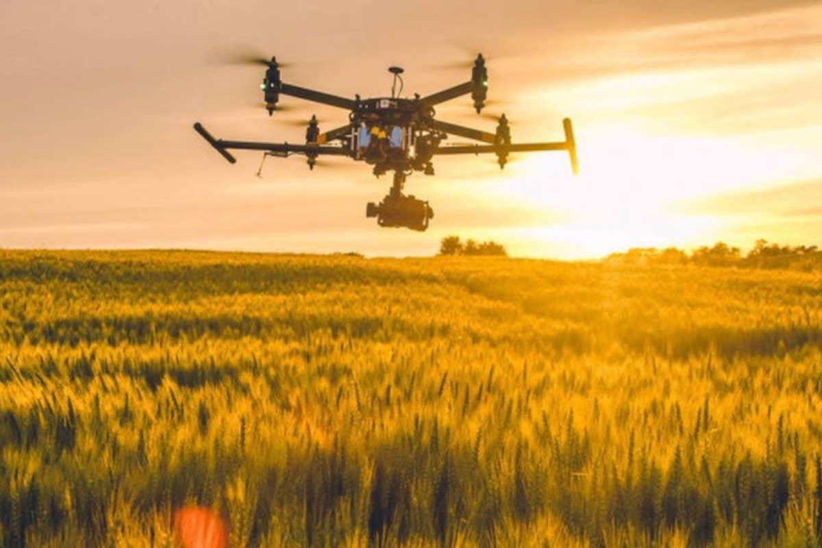 Orti verticali e colture intelligenti: il futuro dell'agricoltura a Udine