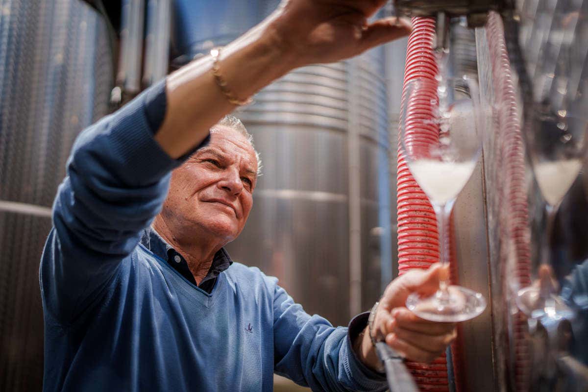 Azienda Drusian Francesco: dal cuore delle colline venete vini che emozionano