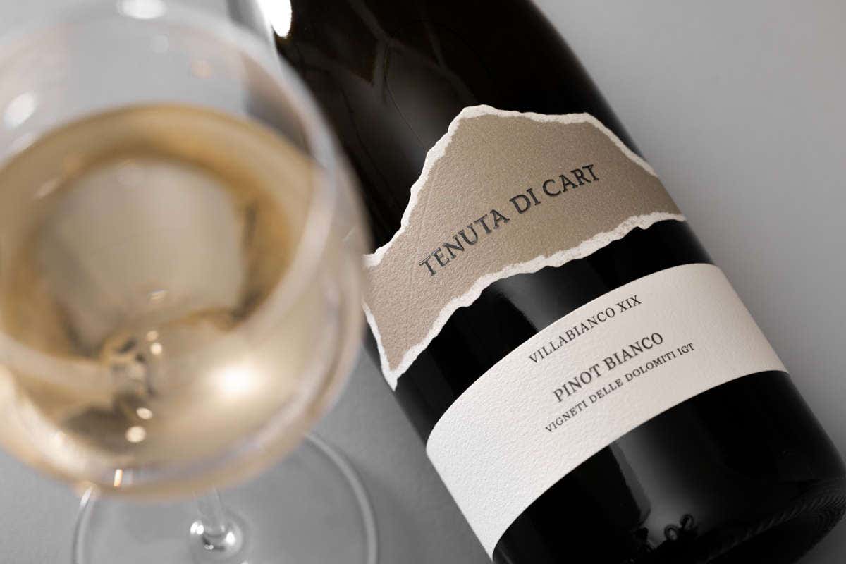 Azienda Drusian Francesco: dal cuore delle colline venete vini che emozionano