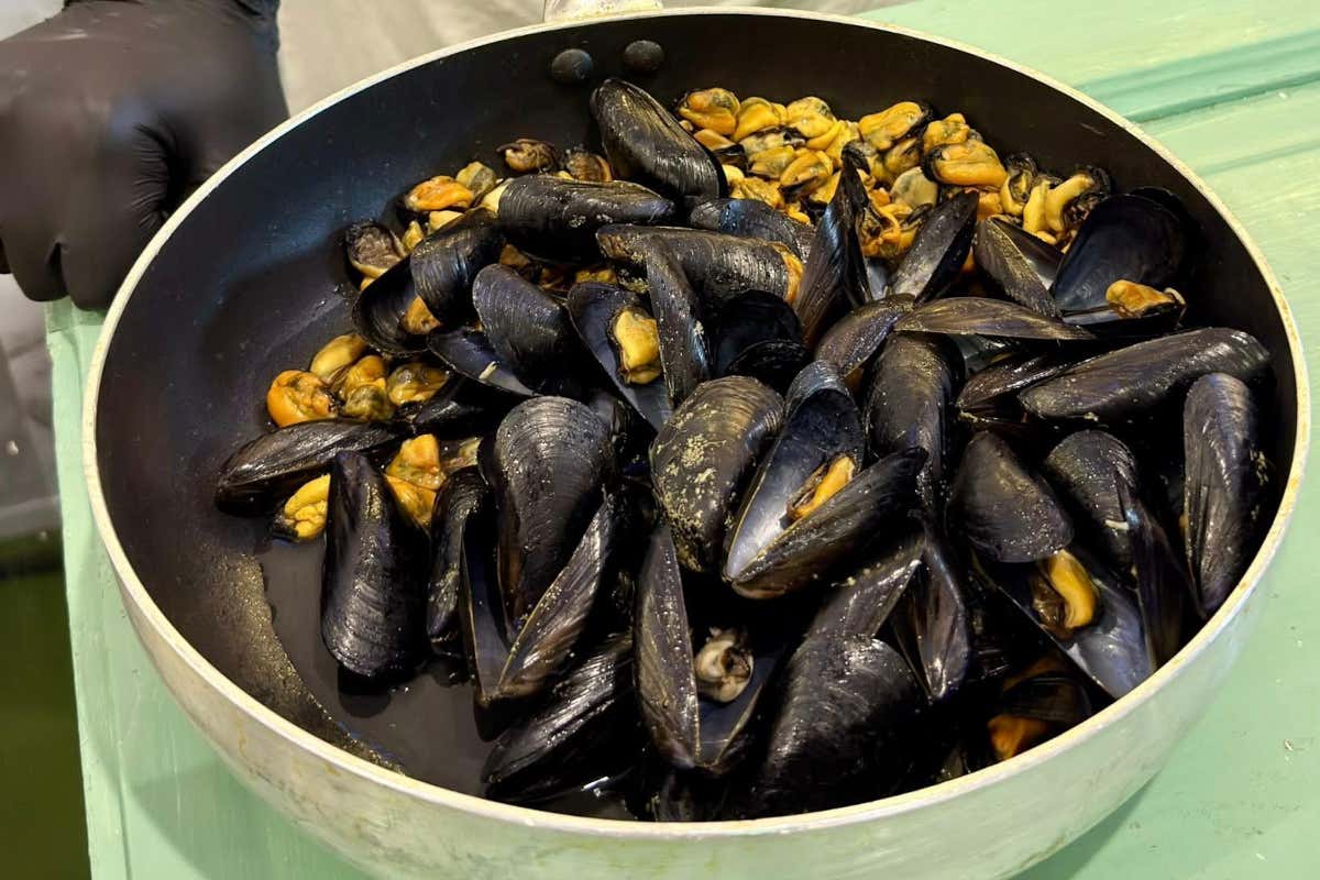 La cucina del futuro arriva a Taranto con Ego Food Fest 2026