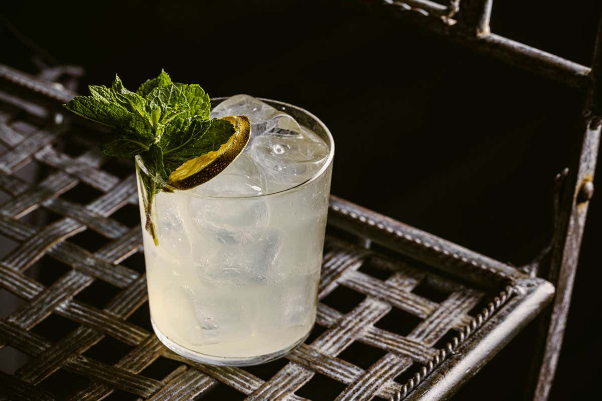 Il club di Roma immerso in un ex vivaio dove la musica si accende tra gli alberi Il club di Roma immerso in un ex vivaio dove la musica si accende tra gli alberi