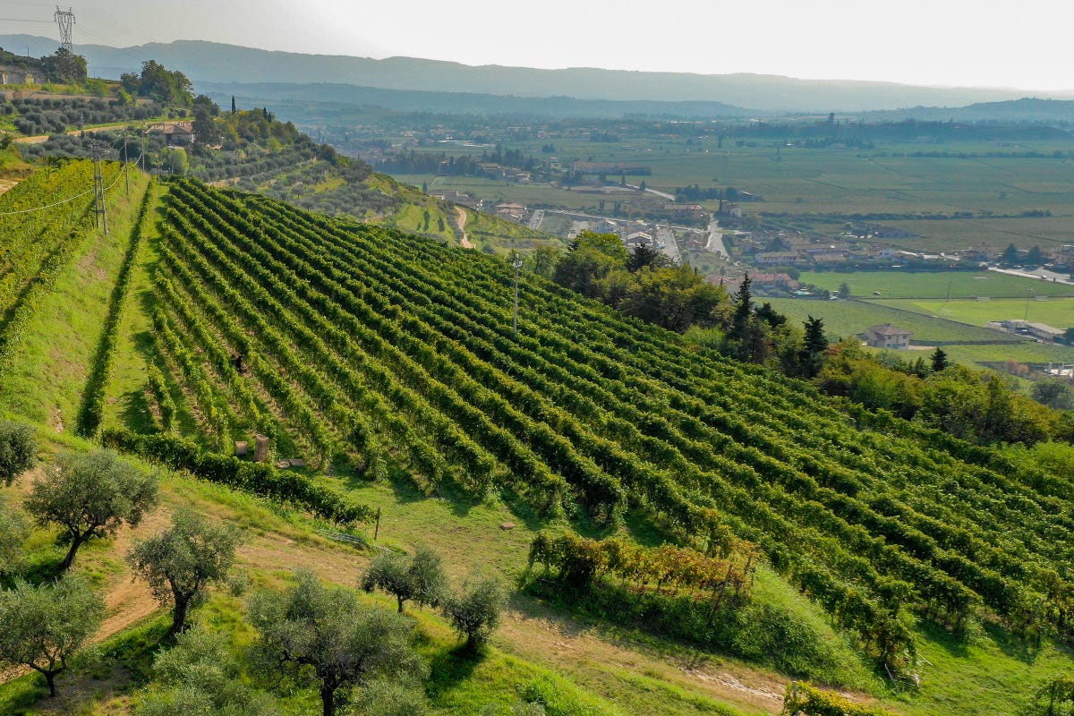 Eleva, un'esperienza sensoriale unica nel cuore della Valpolicella Classica