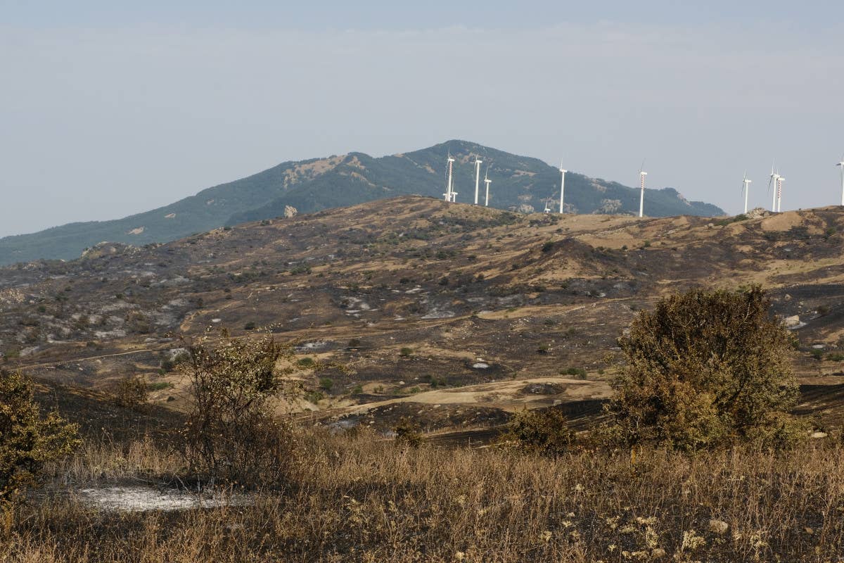 Emergenza siccità al Sud e nelle Isole: la situazione ora diventa critica