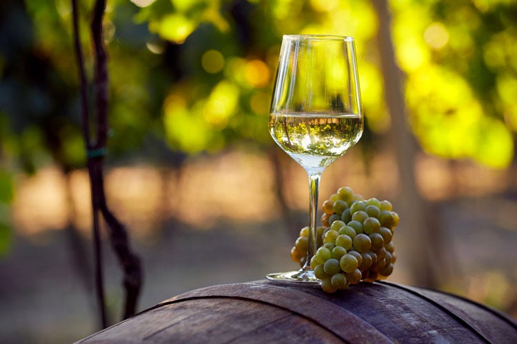 La wine hospitality come propulsore di sviluppo “Turismo del vino in Italia. Storia, normativa e buone pratiche”