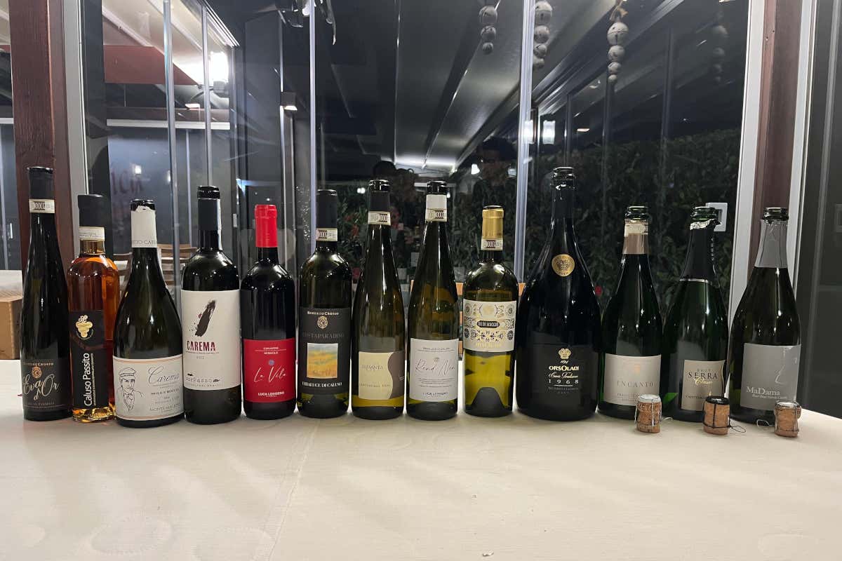 Alla scoperta delle denominazioni del vino del Canavese Alla scoperta delle denominazioni del vino del Canavese