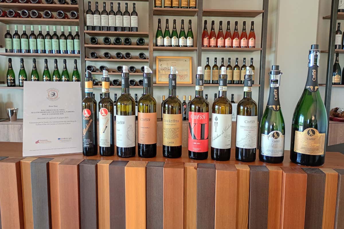 Alla scoperta delle denominazioni del vino del Canavese Alla scoperta delle denominazioni del vino del Canavese