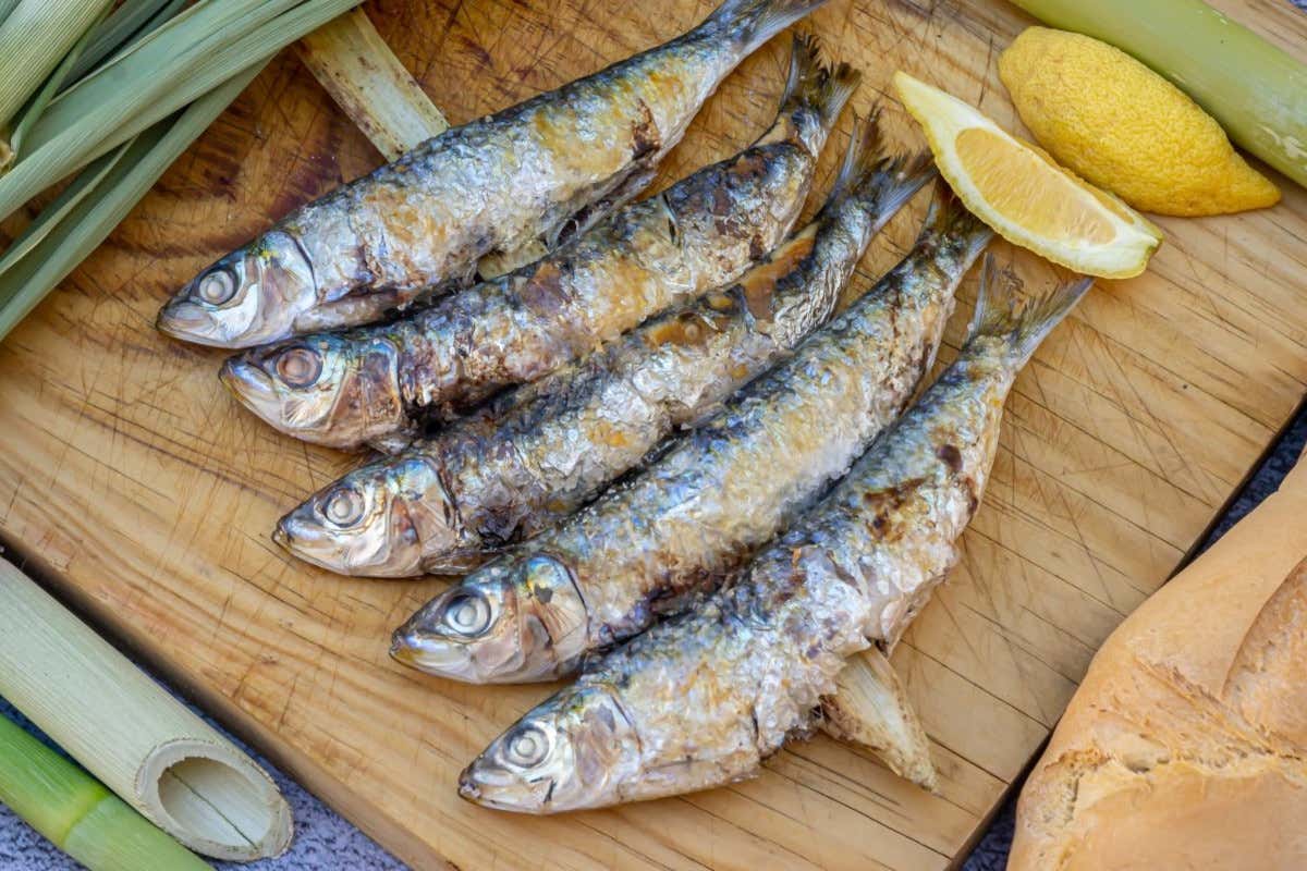 Alla scoperta dei sapori iberici: un tour gastronomico della Spagna