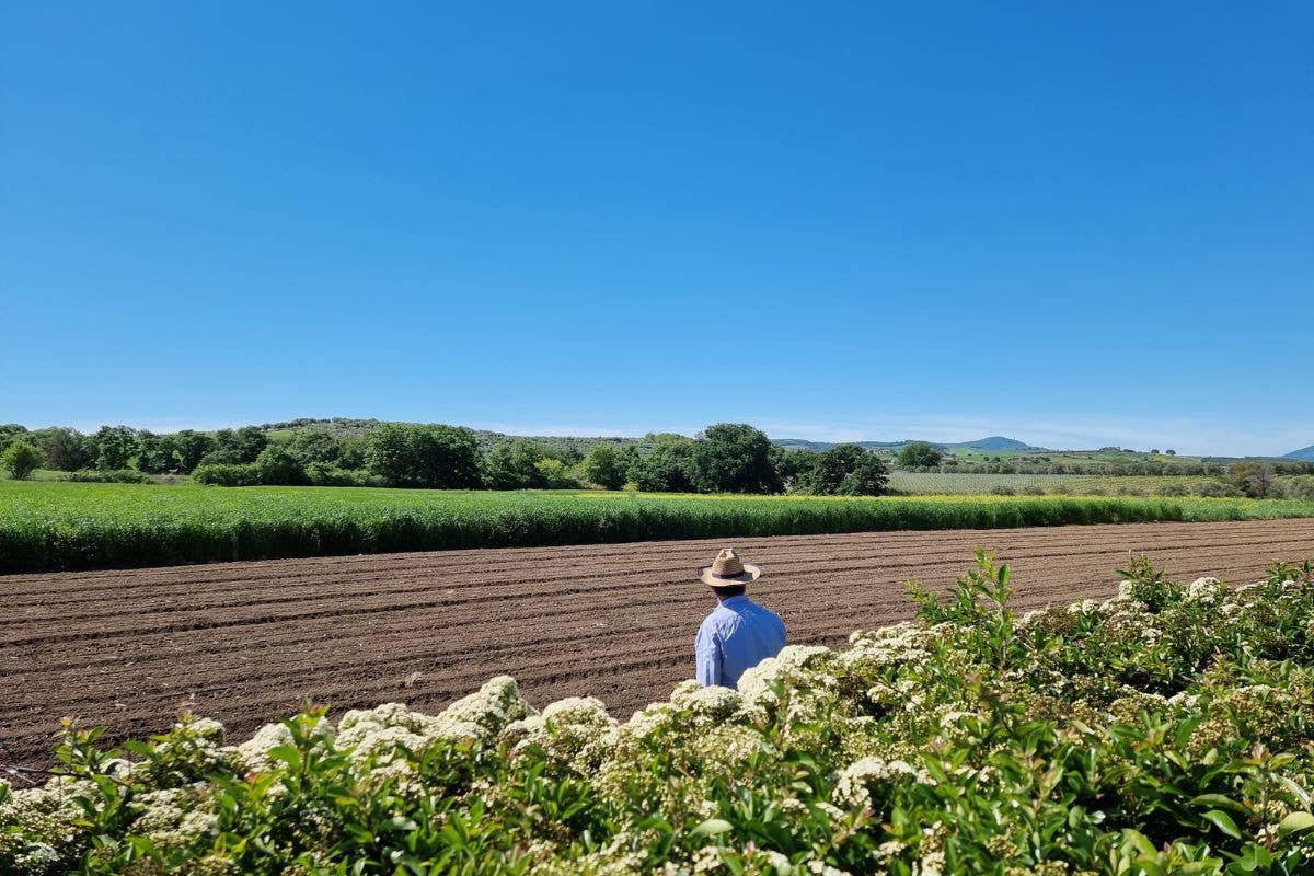 Il Molise esiste, eccome. Viverlo nell'agriturismo Essentia lo rende speciale