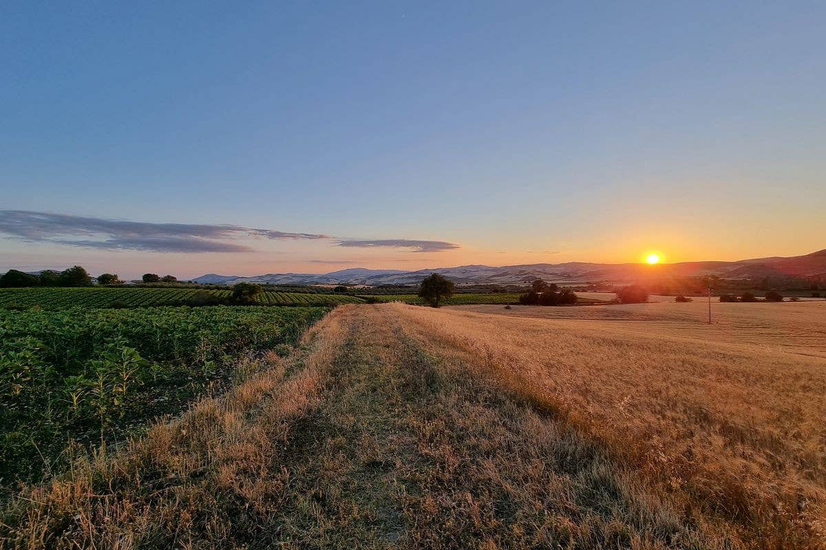 Il Molise esiste, eccome. Viverlo nell'agriturismo Essentia lo rende speciale