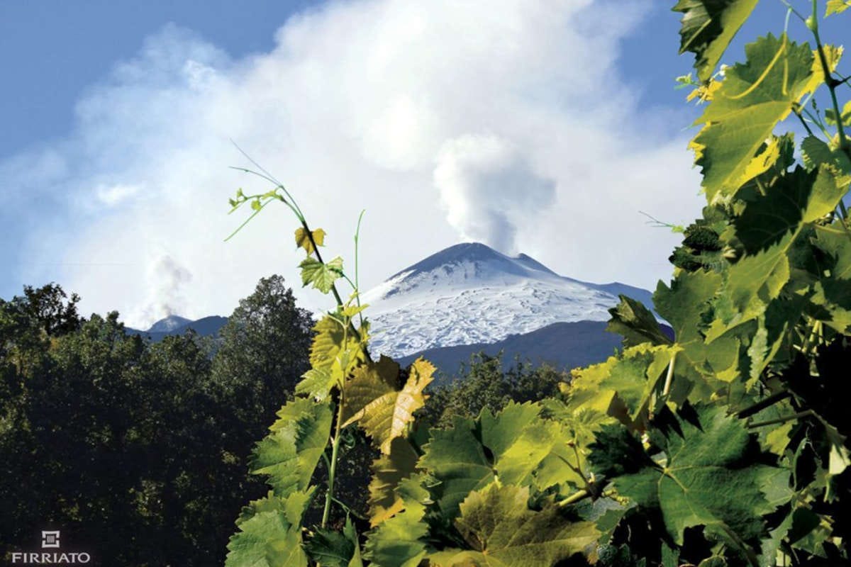 Il Consorzio tutela vini Etna Doc verso il riconoscimento della Docg
