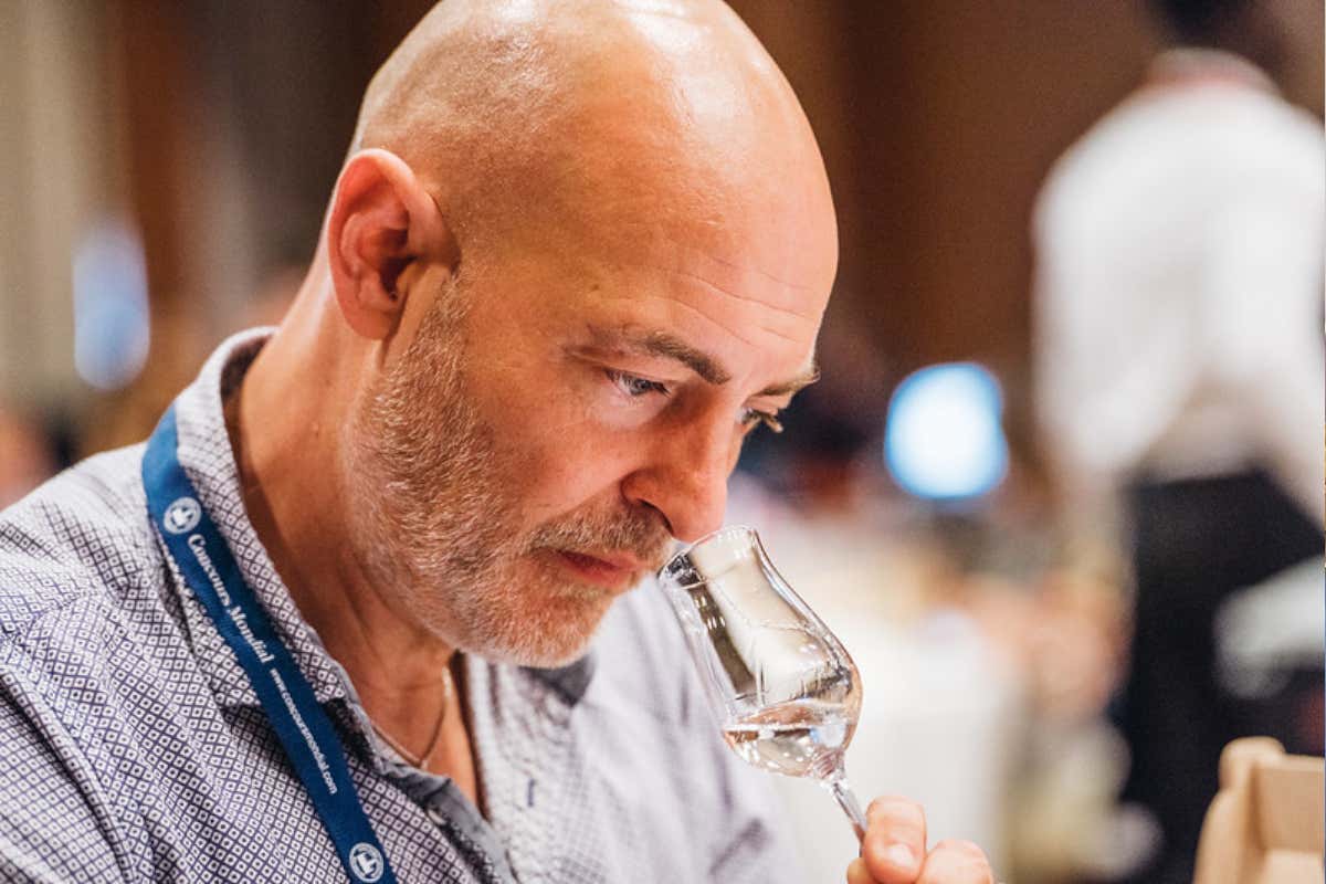 La sfida del vino italiano: troppi produttori, ma pochi vincono davvero