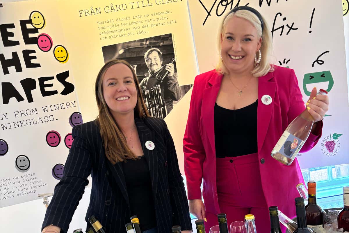 Italia del vino tra euforia e allarme: cosa ci insegna la vendemmia 2025