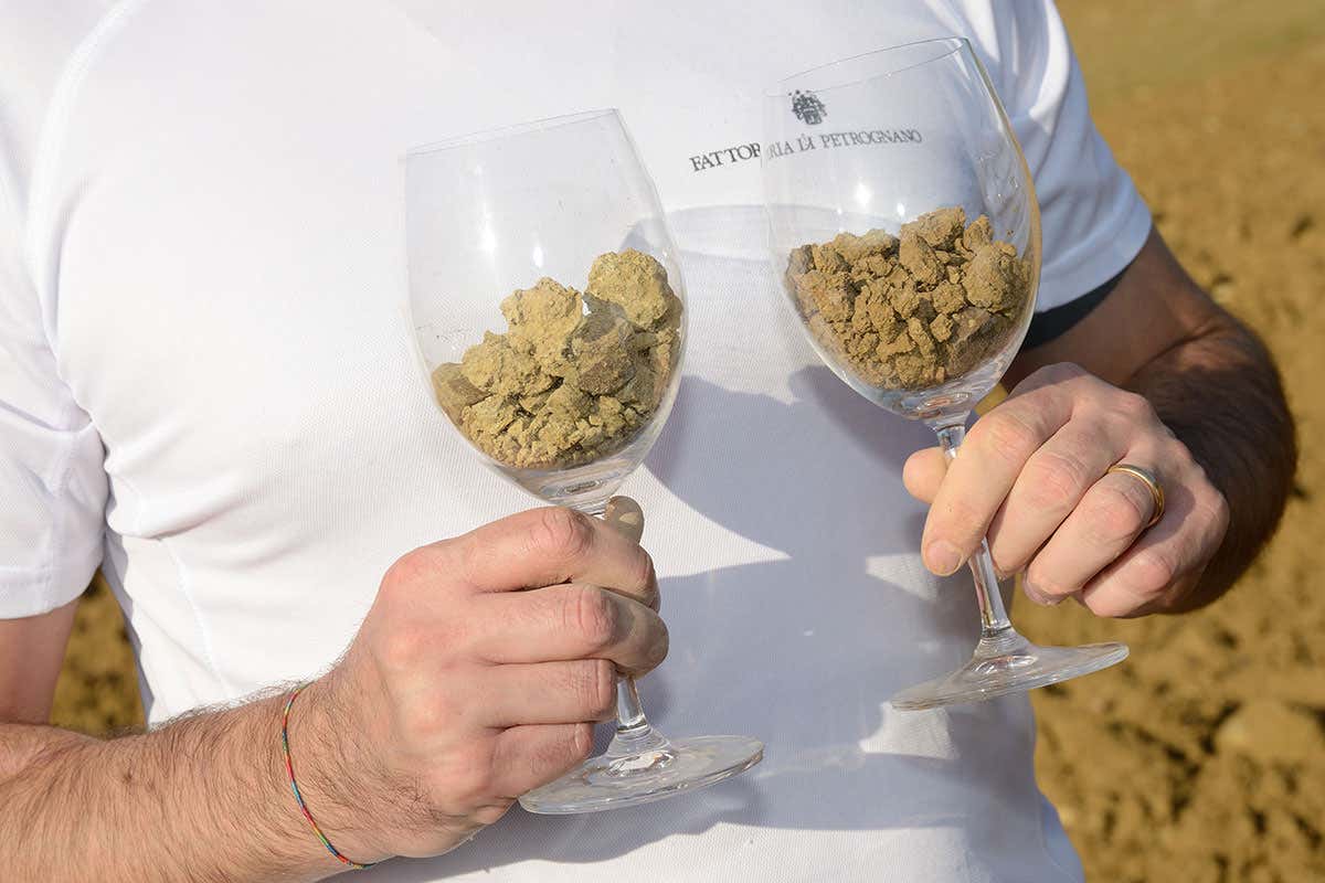 Fattoria di Petrognano, una storia di famiglia che &ldquo;sposa&rdquo; l&rsquo;innovazione