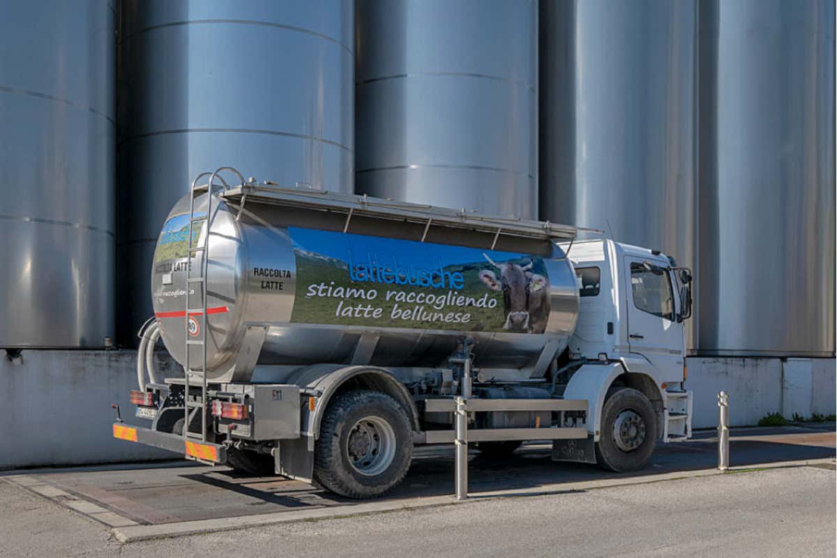 Lattebusche ha registrato una crescita del 12,8% nei primi sei mesi del 2025 Lattebusche cresce a doppia cifra: 128% nel primo semestre 2025. Fatturato a 165 milioni a fine anno Lattebusche ha registrato una crescita del 12,8% nei primi sei mesi del 2025 Lattebusche cresce a doppia cifra: 128% nel primo semestre 2025. Fatturato a 165 milioni a fine anno