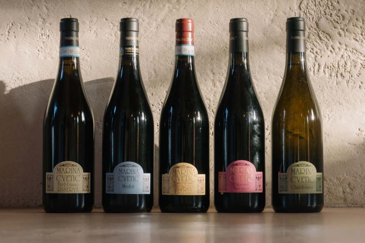 Il ritorno degli “Abruzzi” nel calice: il territorio raccontato attraverso i vini Masciarelli Il ritorno degli “Abruzzi” nel calice: il territorio raccontato attraverso i vini Masciarelli