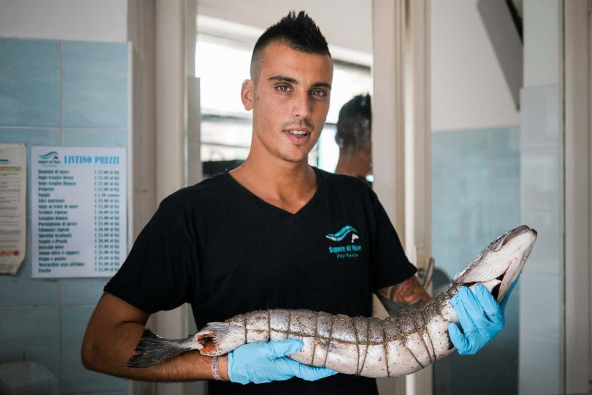 Tra le colline umbre spuntano i salumi di pesce: il laboratorio di Sapore di Mare Tra le colline umbre spuntano i salumi di pesce: il laboratorio di Sapore di Mare