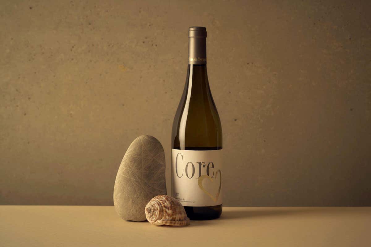 Da fotografa a regina del vino: chi è Silvia Imparato, la donna dietro il Montevetrano