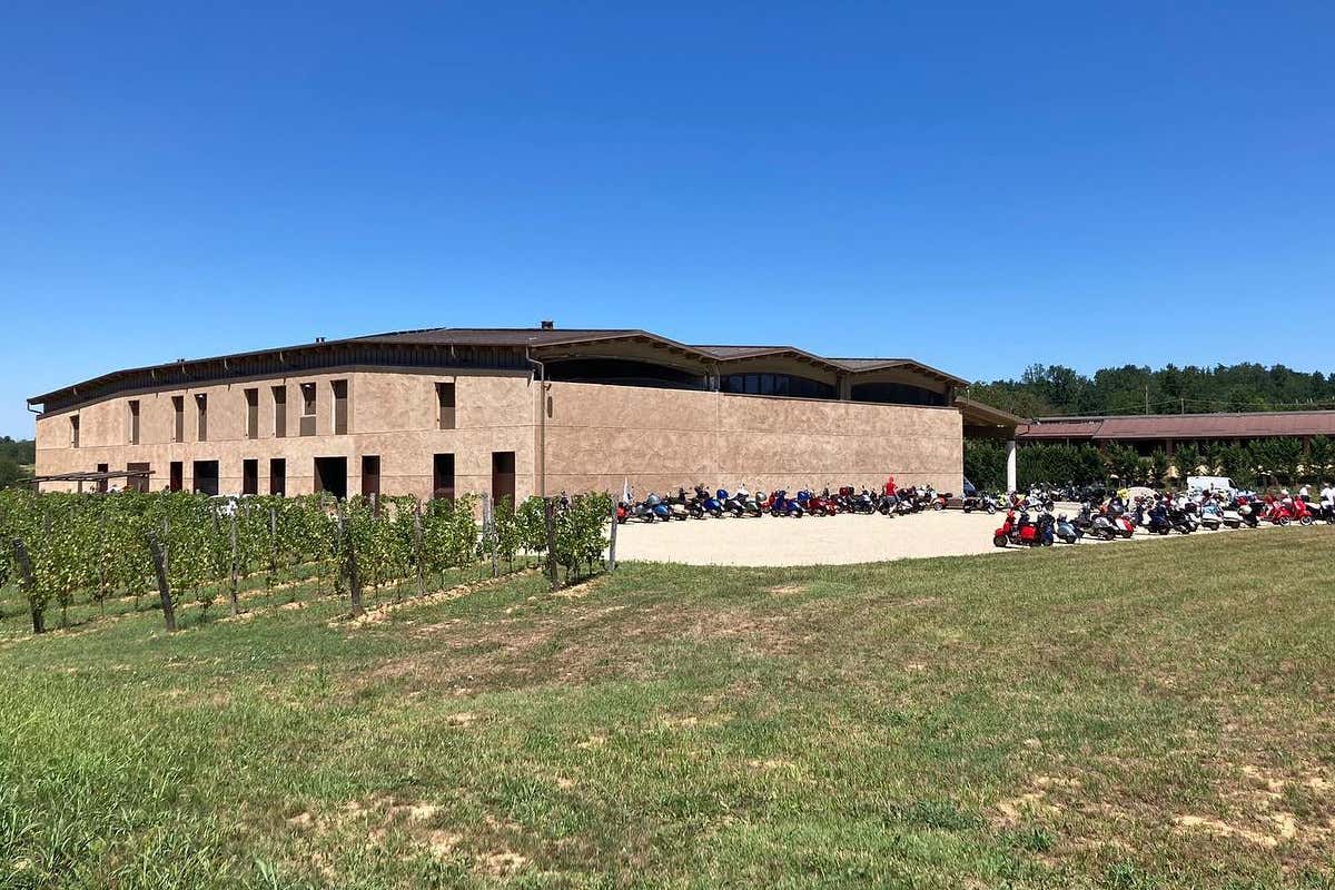 Cantine del Roero, quando il vino dialoga con il mondo del tartufo