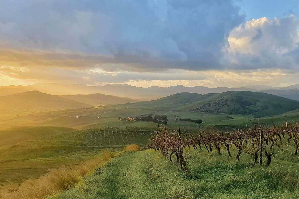 [CuGino e Principe G]: i nuovi Grillo in purezza Dei Principi di Spadafora