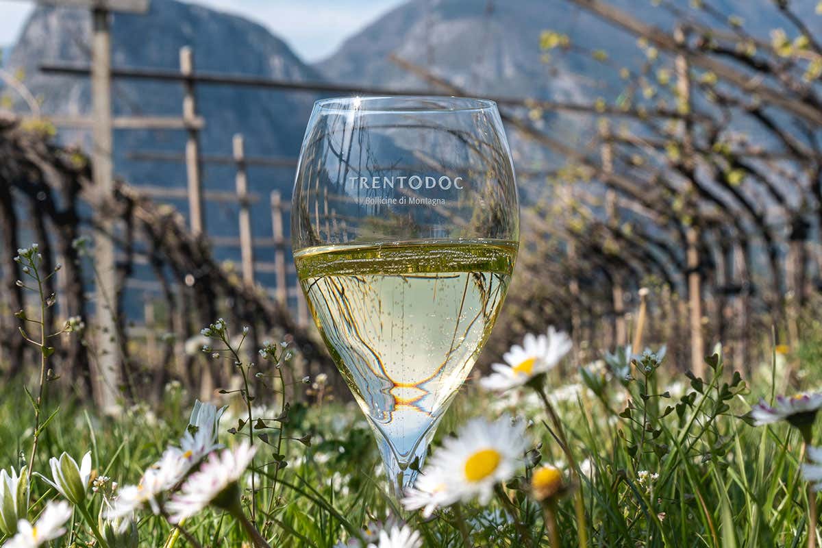 Trentodoc: il metodo classico di montagna conquista l’Italia e guarda lontano Trentodoc: il metodo classico di montagna conquista l’Italia e guarda lontano