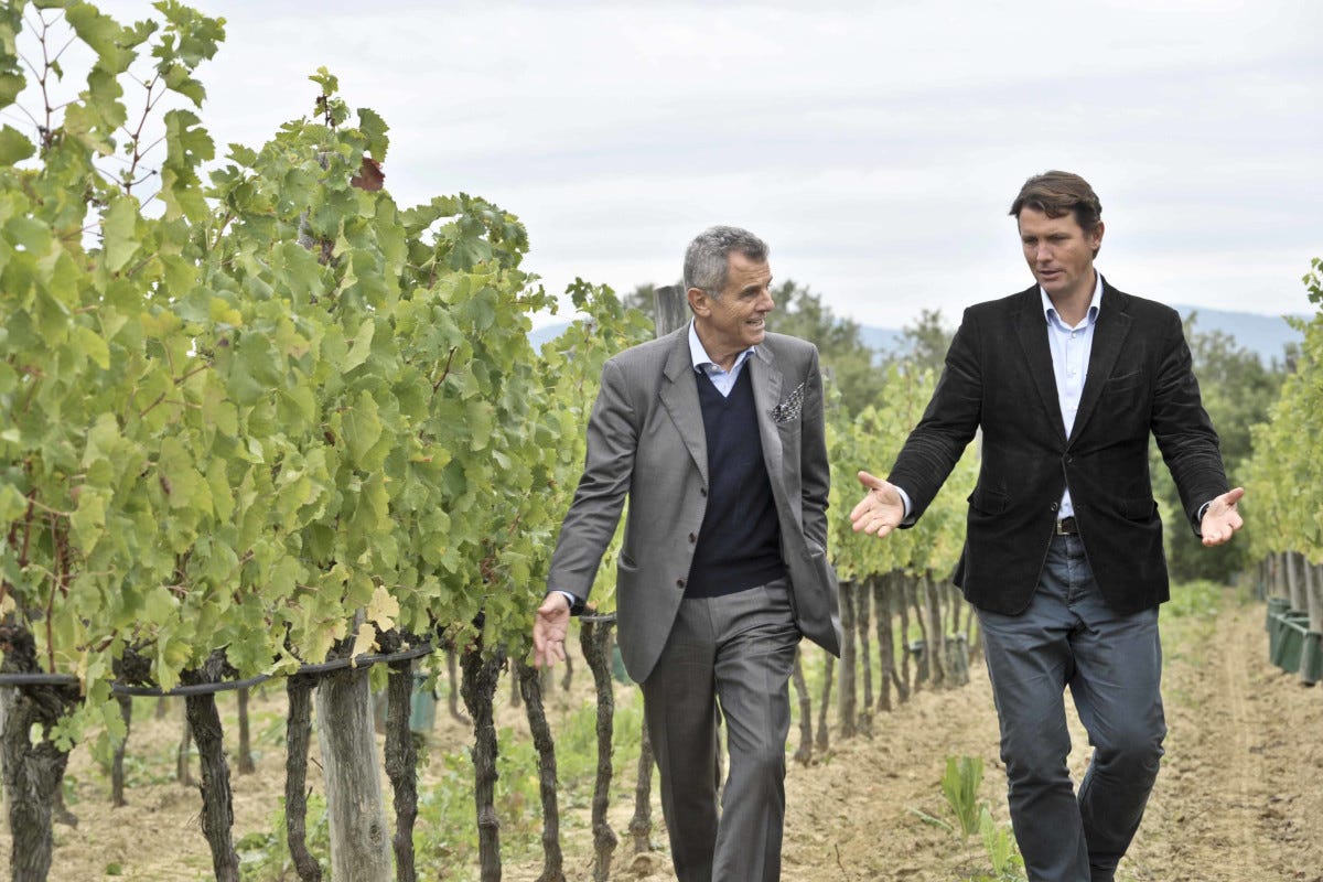 Il Borro, la tenuta dei Ferragamo, acquisisce l'azienda vinicola Pinino