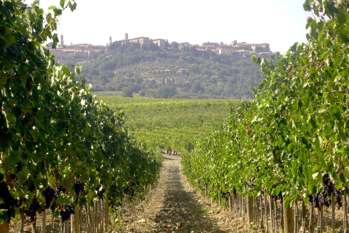 Il Borro, la tenuta dei Ferragamo, acquisisce l'azienda vinicola Pinino Il Borro, la tenuta dei Ferragamo, acquisisce l'azienda vinicola Pinino