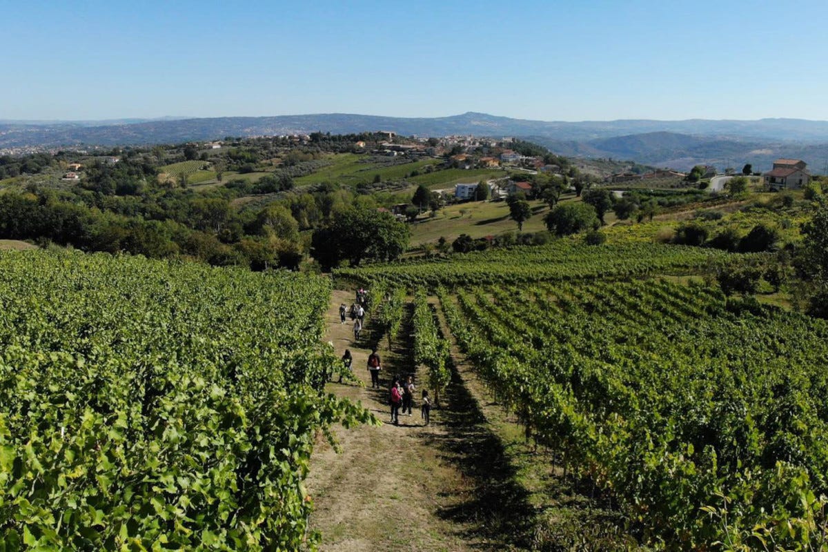Torna Fiano Love Fest: alla scoperta di vini Docg e prodotti tipici