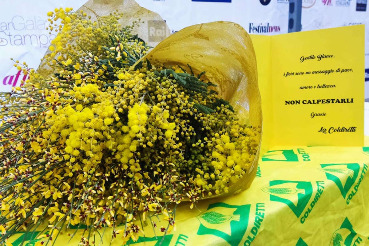 Il mazzo di fiori recapitato al cantante dalla Coldiretti Coldiretti un mazzo di fiori per Blanco con l'invito a non calpestarli