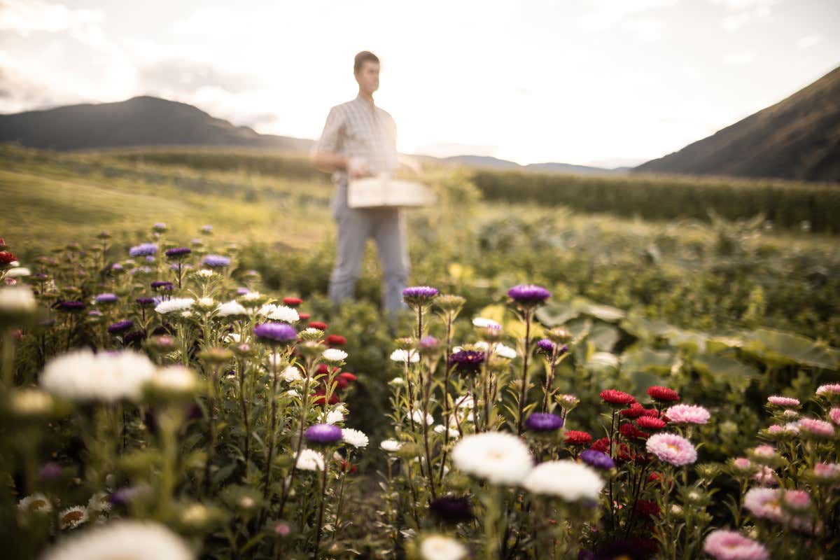 In Alto Adige la primavera è colorata: gli eventi in programma In Alto Adige la primavera è colorata: gli eventi in programma