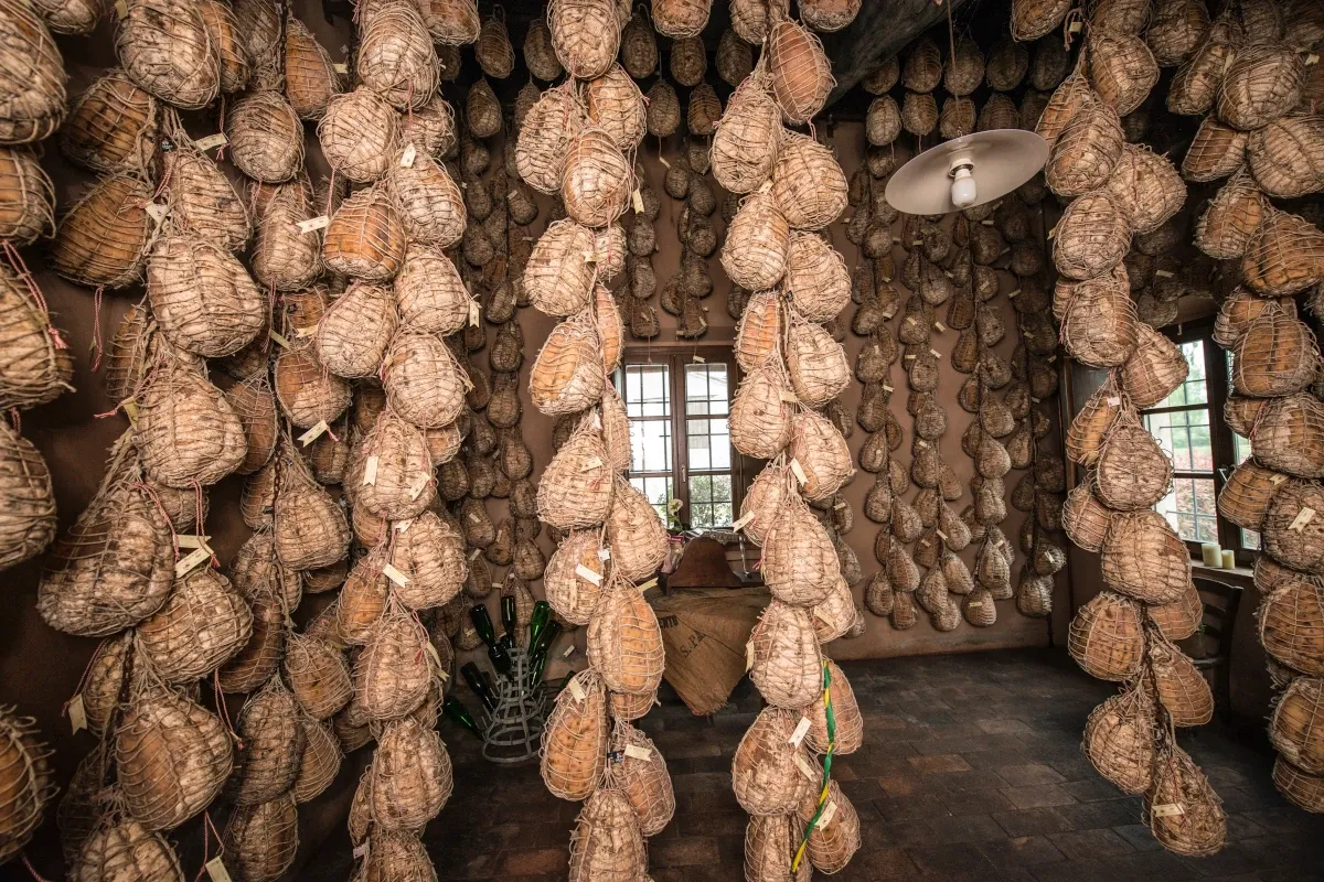 File di Culatello appesi a stagionare Viaggio lungo il Po alla scoperta dei suoi sapori e dei suoi vini