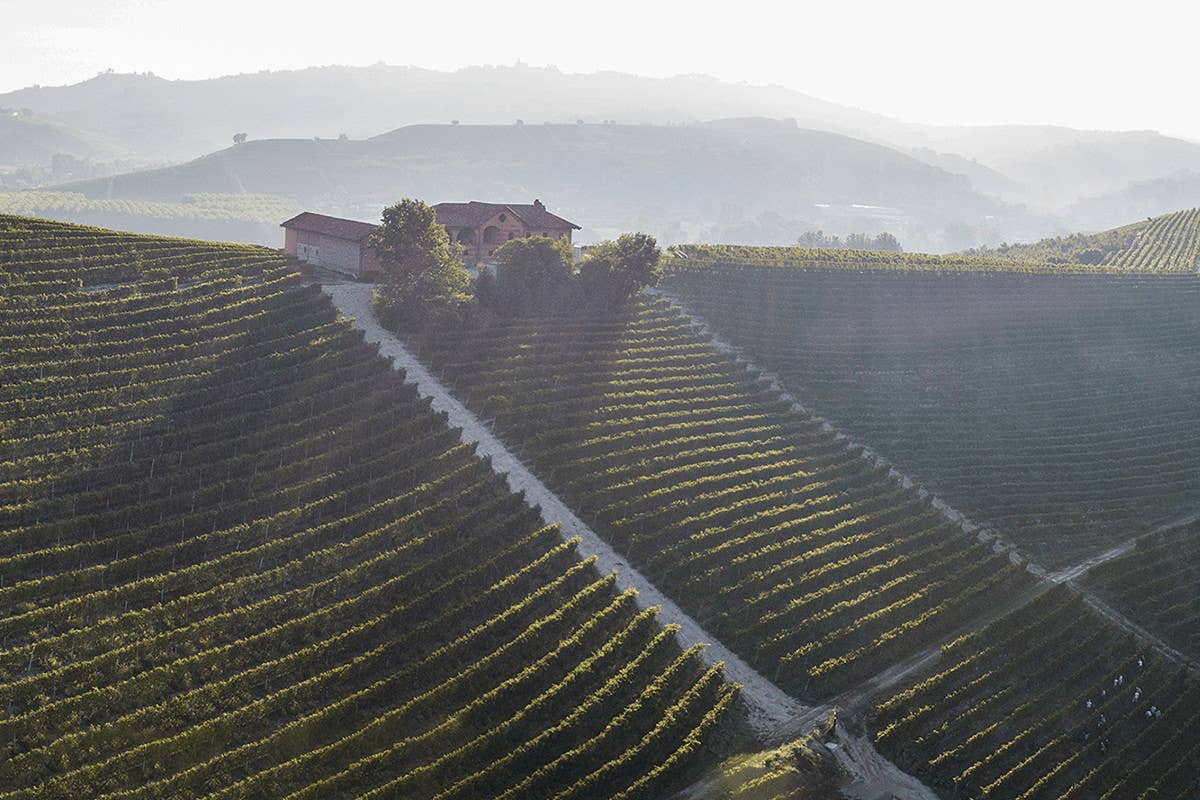 Un altro no (eccellente) ai vigneti di Barolo e Barbaresco sui versanti Nord