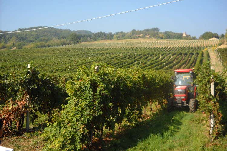 (Food City, i vini di Poggiarello sfilano da Just Cavalli)